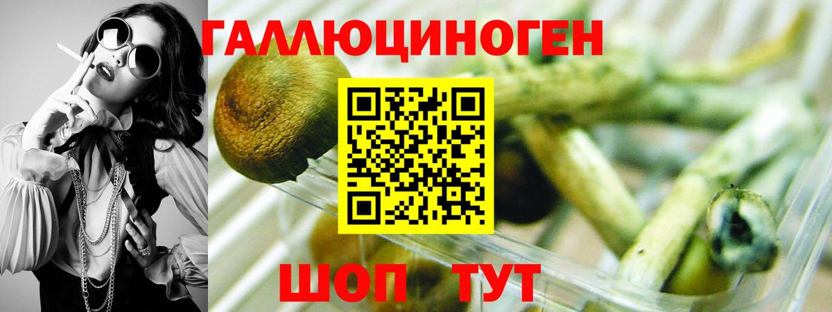 Пыть-Ях  Галлюциногенные грибы Cubensis  Вход с VPN 